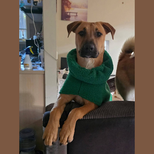 Photo of Chloe
