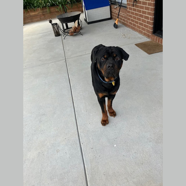 Photo of Zeus