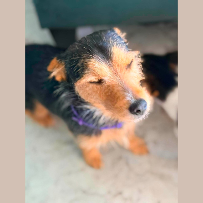 Photo of Warrior
