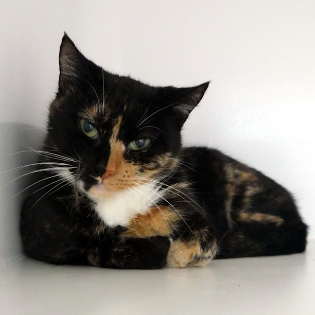 Photo of Selena Sta014194