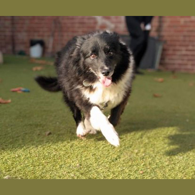 Photo of Jazz