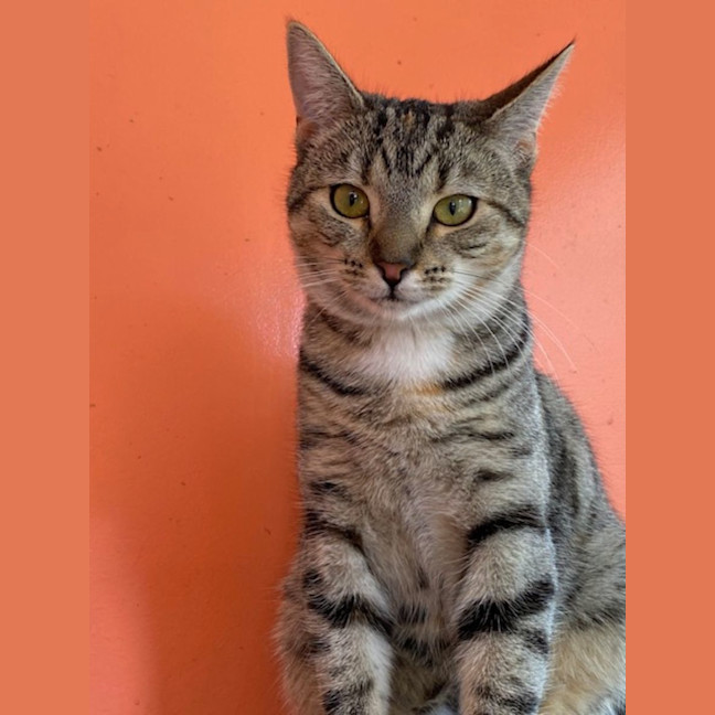 Photo of Nora