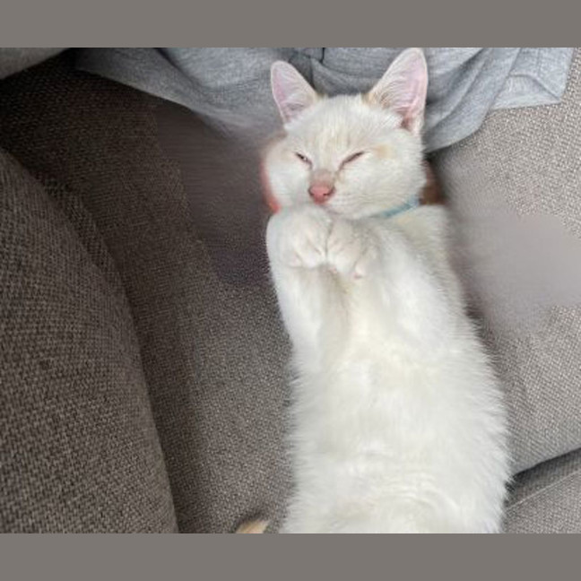Photo of Doofus