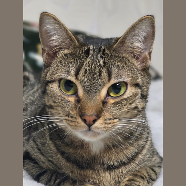 Photo of Poppy & Pepper