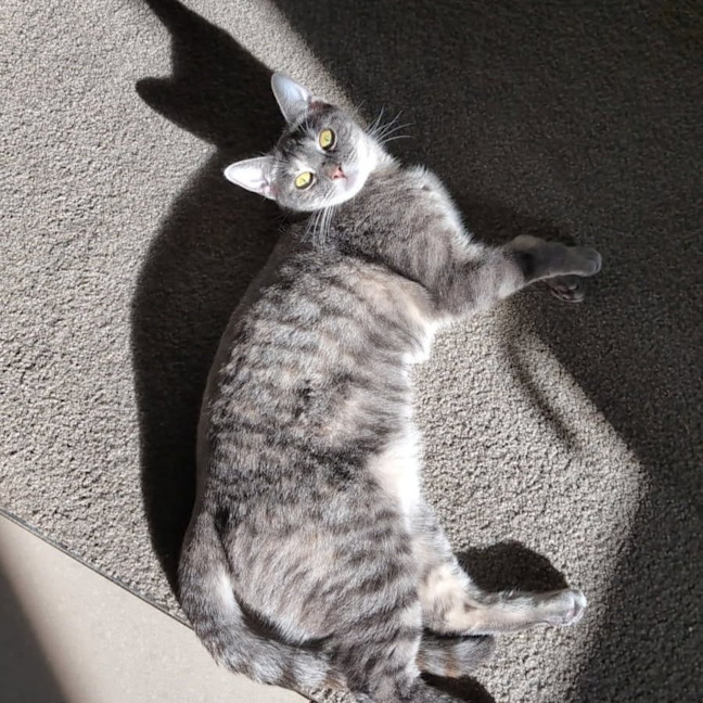 Photo of Luna