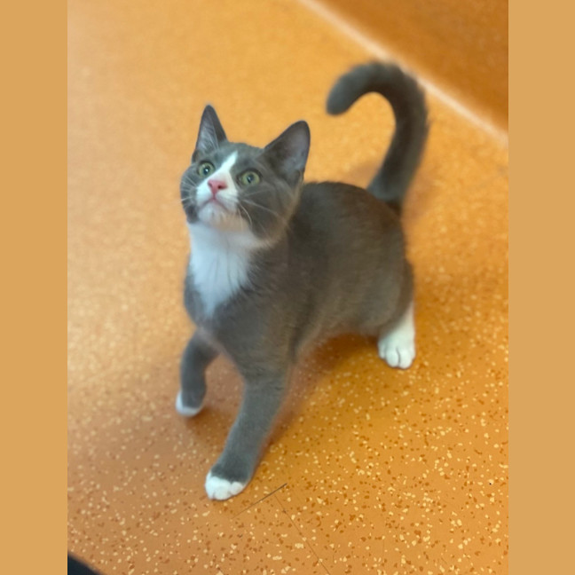 Photo of Jack