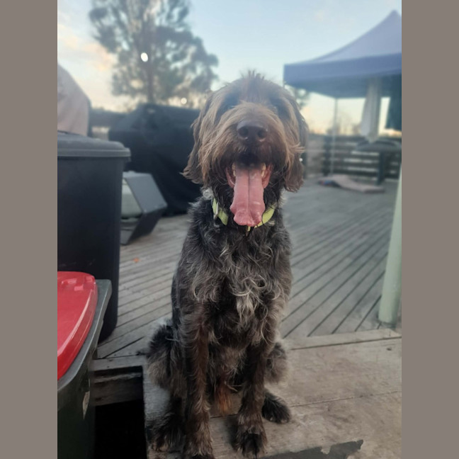 Photo of Winston