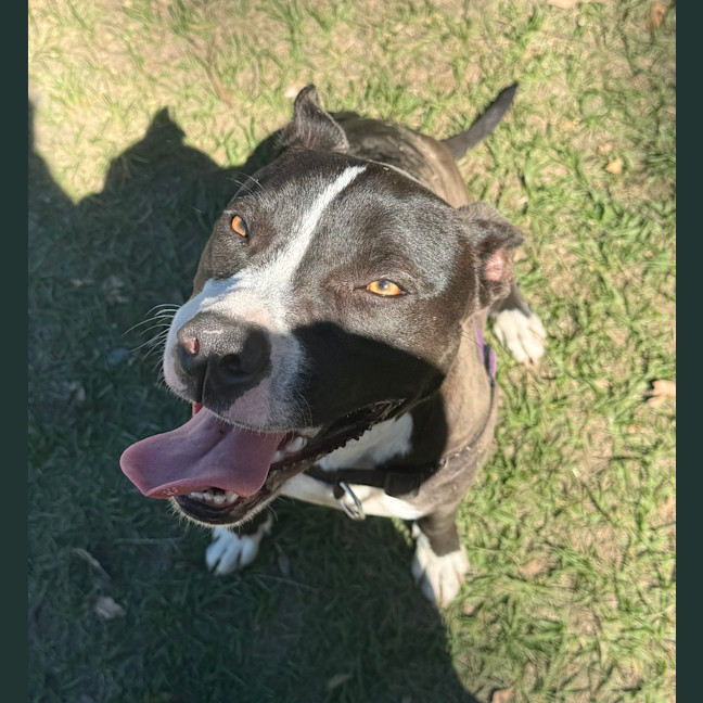 Photo of Tank