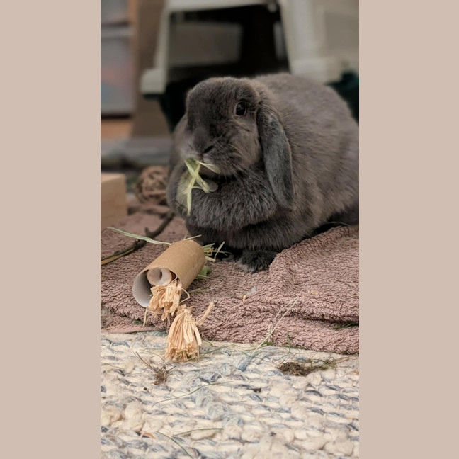 Photo of Louise