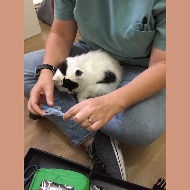 Photo of $100 Mama Z