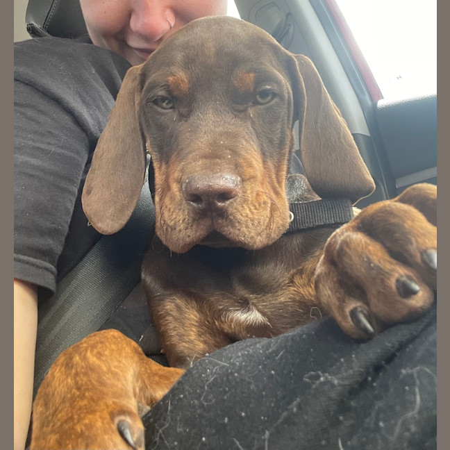 Photo of Max (Was Harry)