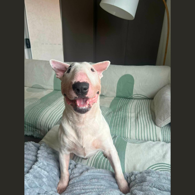 Photo of Busta