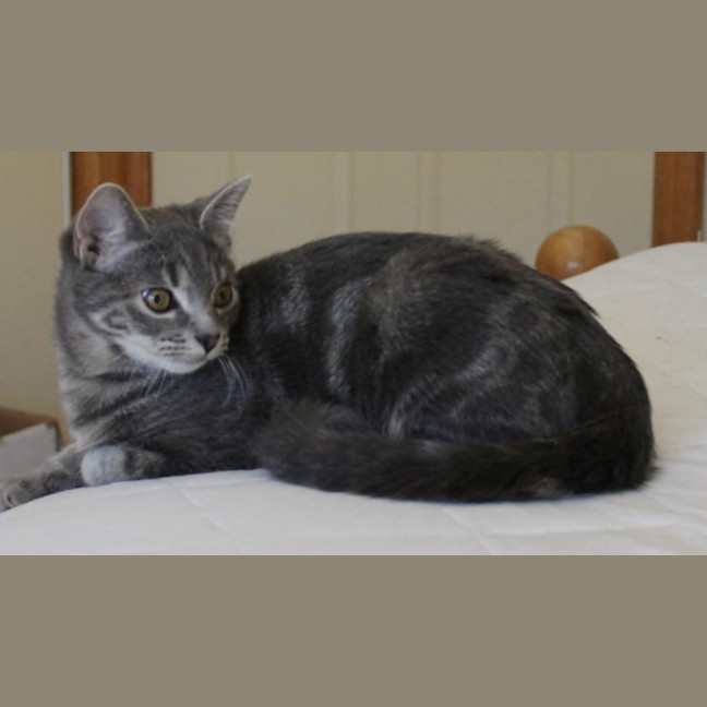 Photo of Astrid