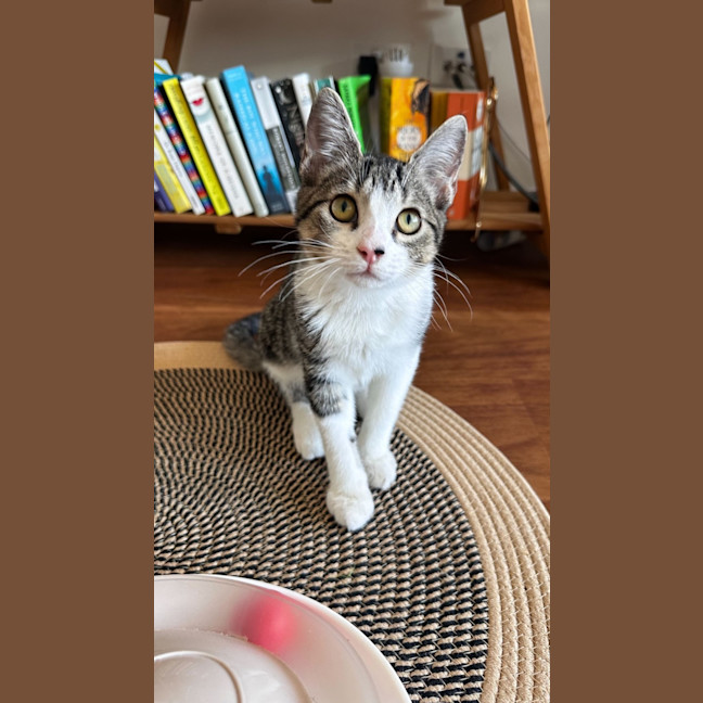 Photo of Polly