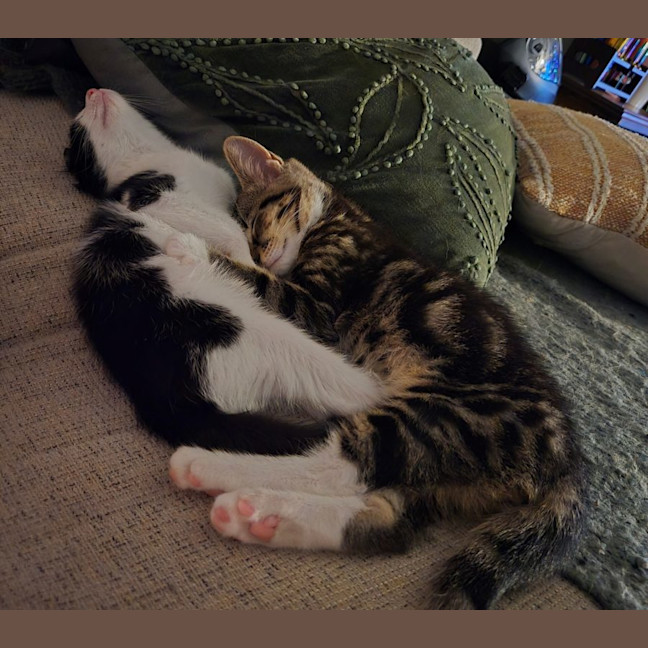 Photo of Harold & Gunther