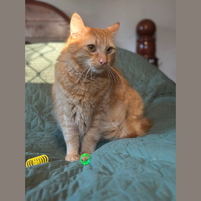 Photo of Barry