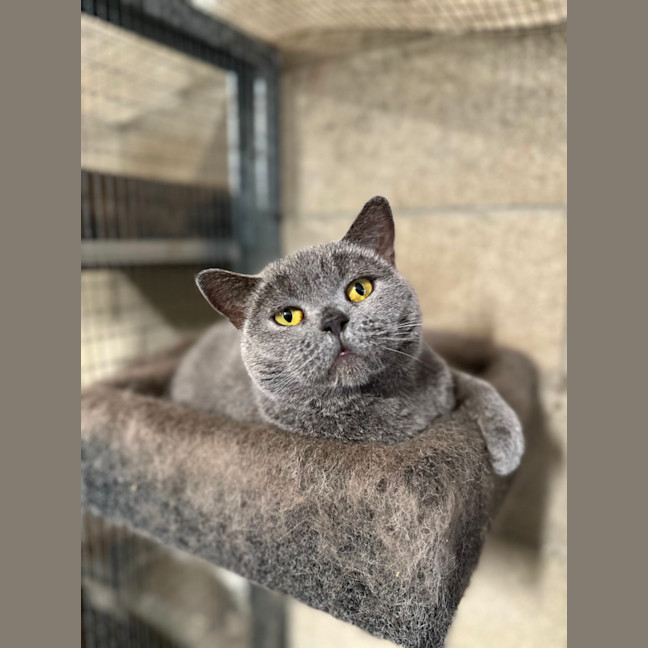 Photo of Fafa And Britt