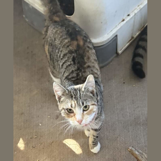 Photo of Sugar