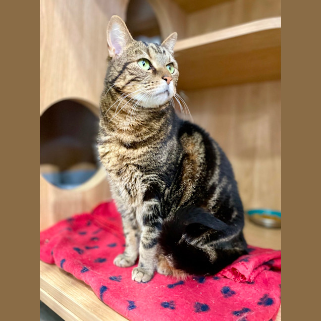 Photo of River And Tyra