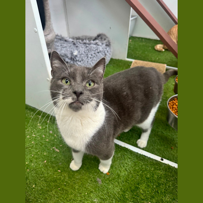 Photo of Christian Grey