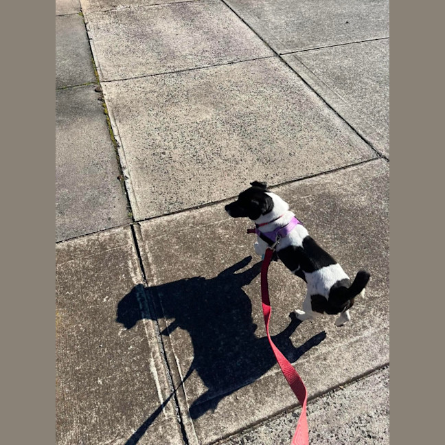 Photo of Jack