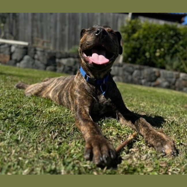 Photo of Benson 