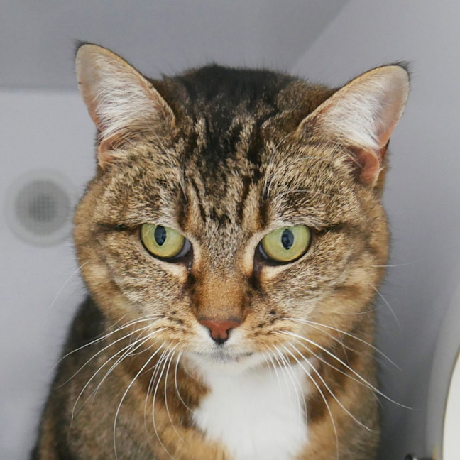 Photo of Willow Sua012831