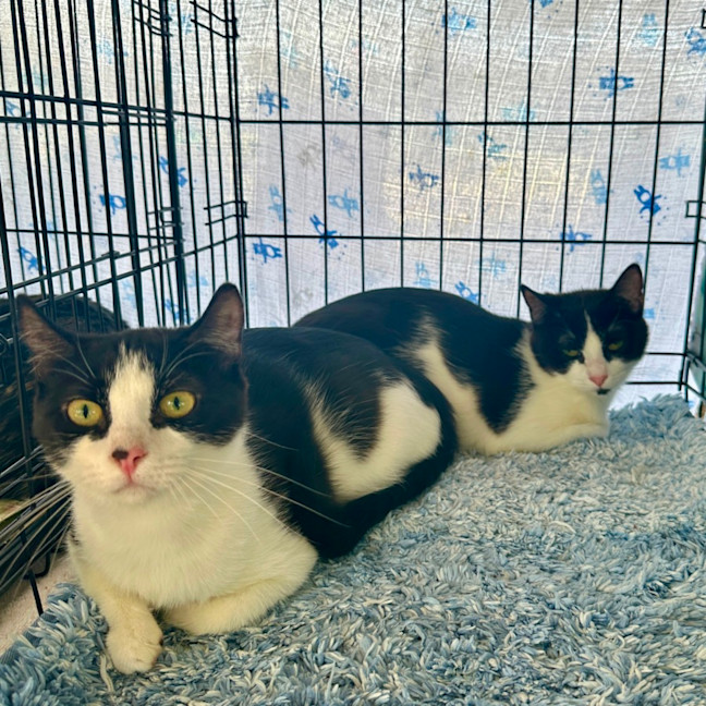 Photo of Meg And Amy