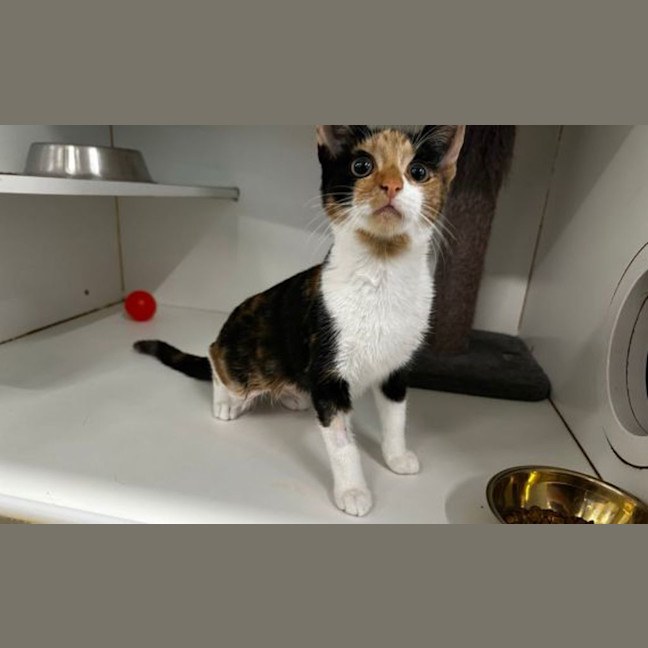 Photo of Rudy