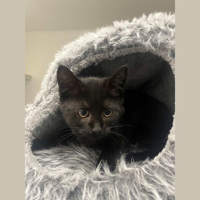 Photo of Spice