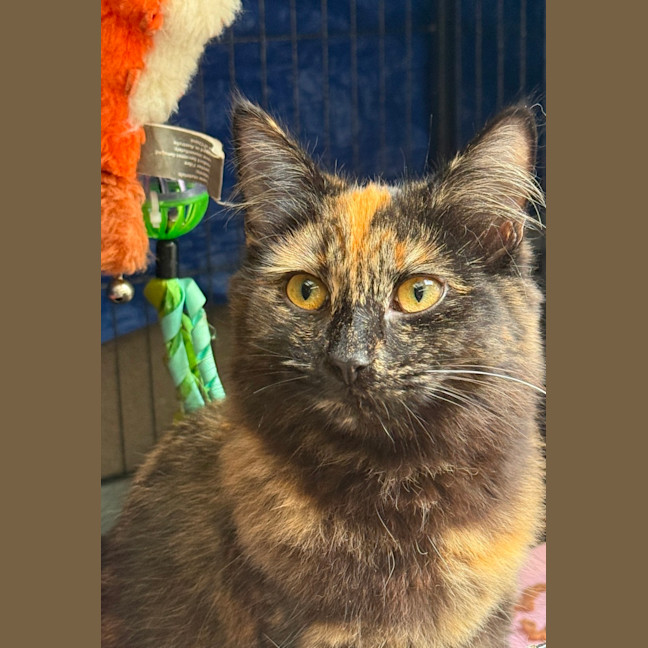 Photo of Lilith