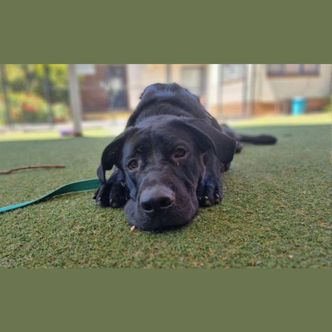 Photo of Murphy
