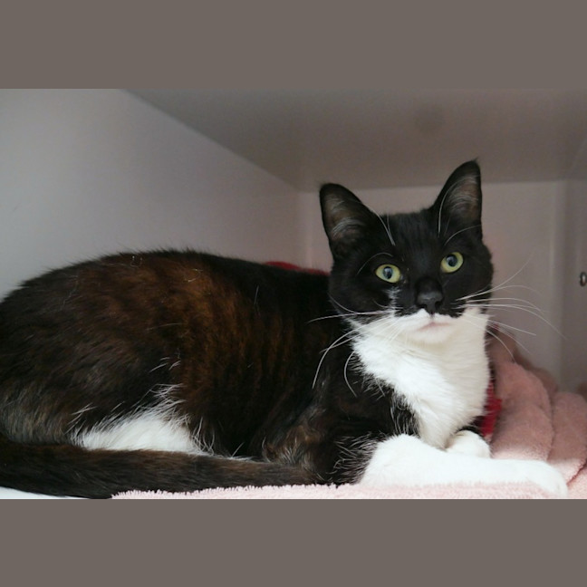 Photo of Lily Rsuk013985