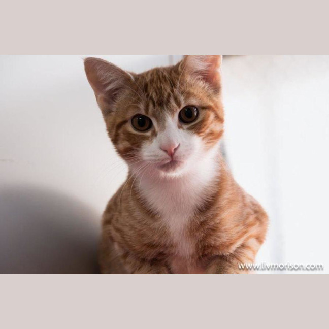 Photo of Diego Moriarty