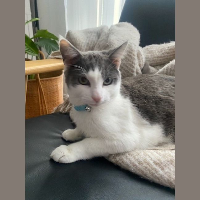 Photo of C1318 Micky