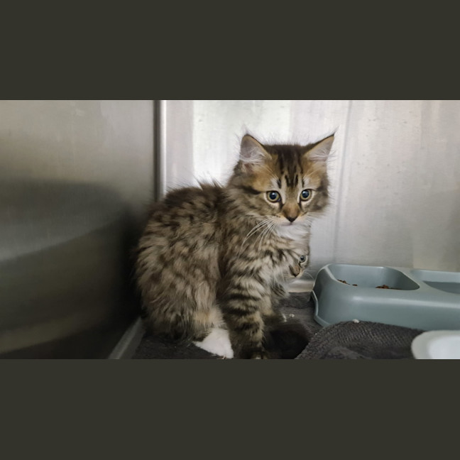 Photo of Catrick