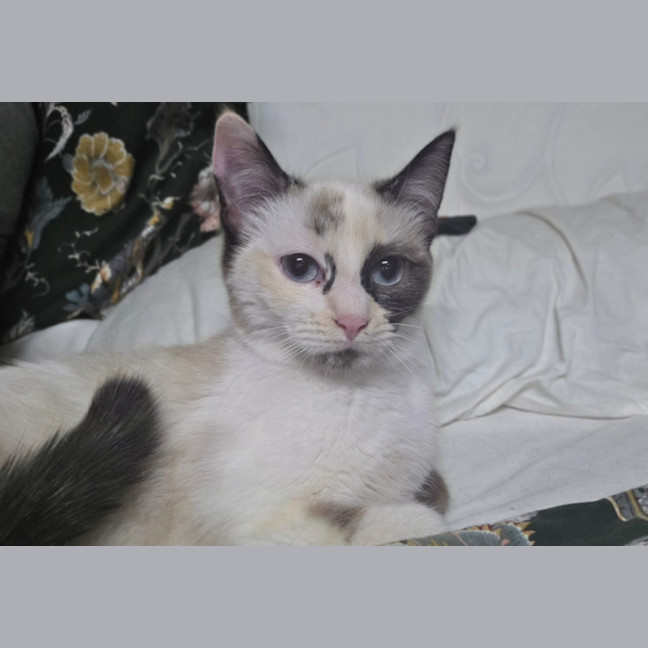 Photo of Dairy Queen