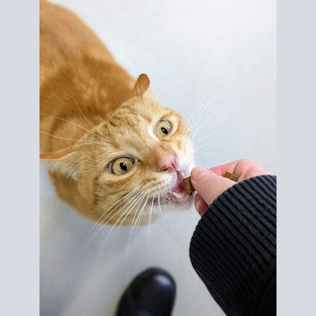 Photo of 🥝 Freddie 5515 🥝