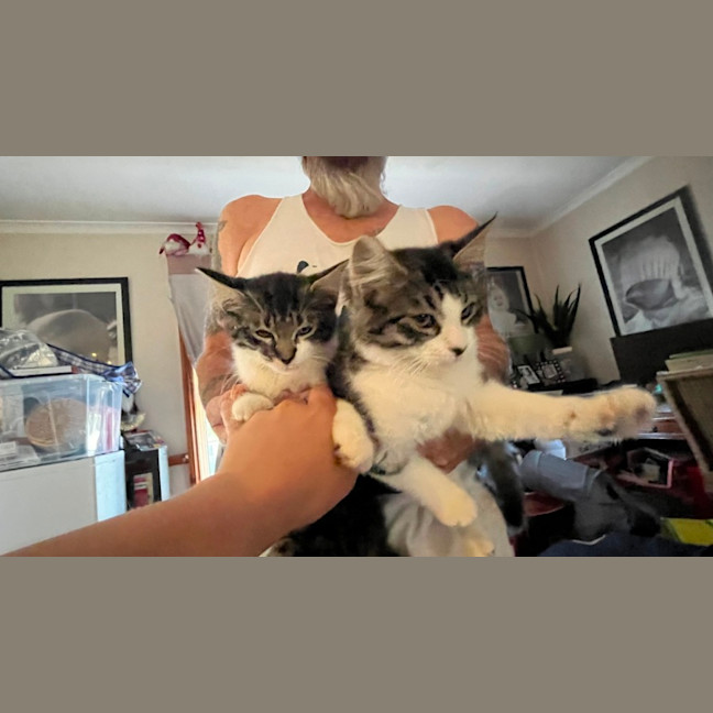 Photo of Bohdi & Lottie