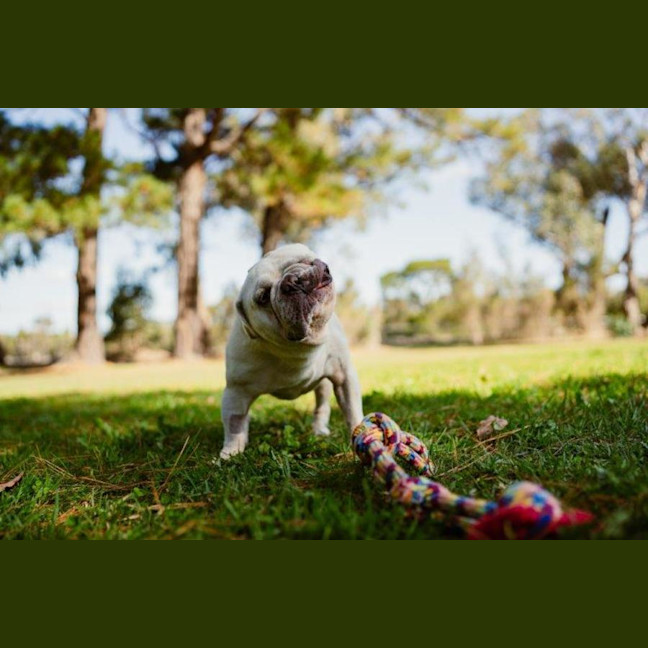 Photo of Bee O’cleary