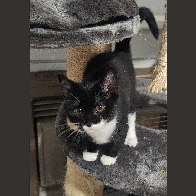 Photo of Benni
