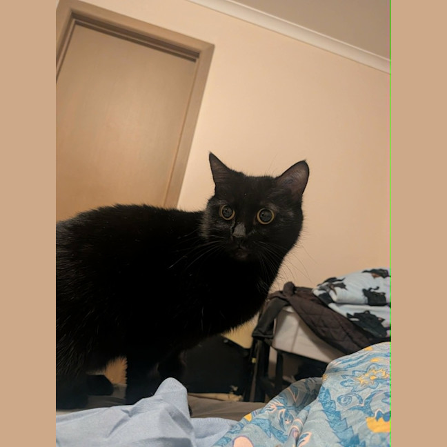 Photo of Ms Milo