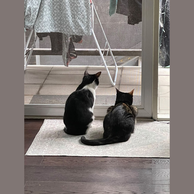 Photo of Molly & Nom Noms