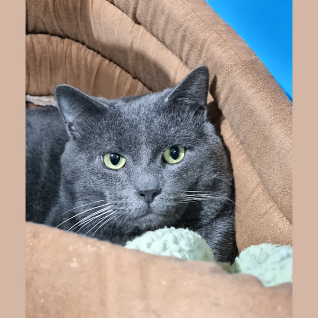 Photo of Vinnie