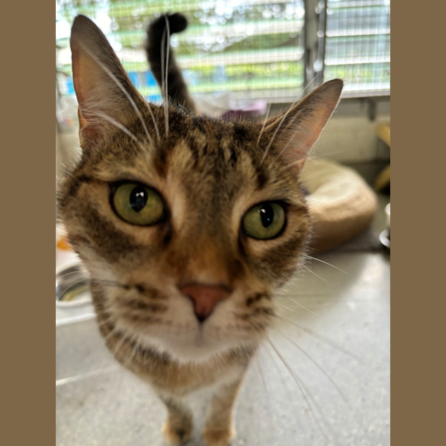 Photo of Luna