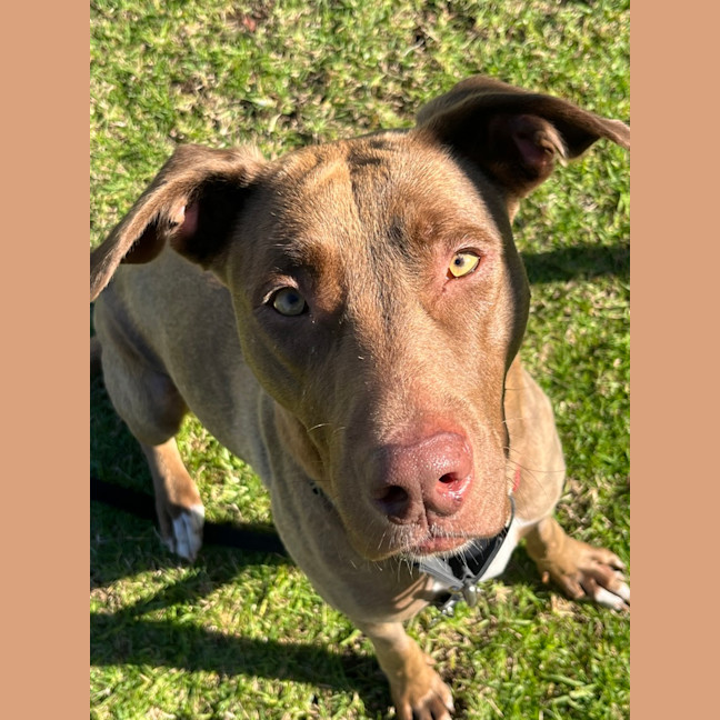 Photo of Zoe