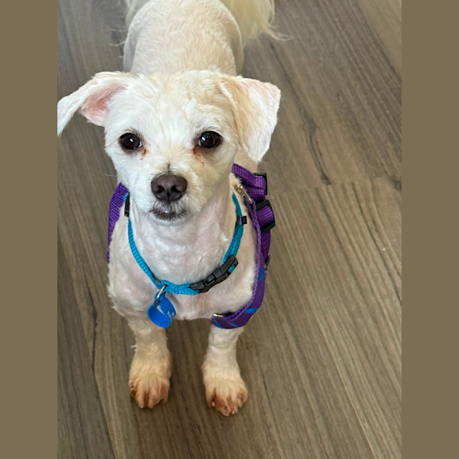 Photo of Benny