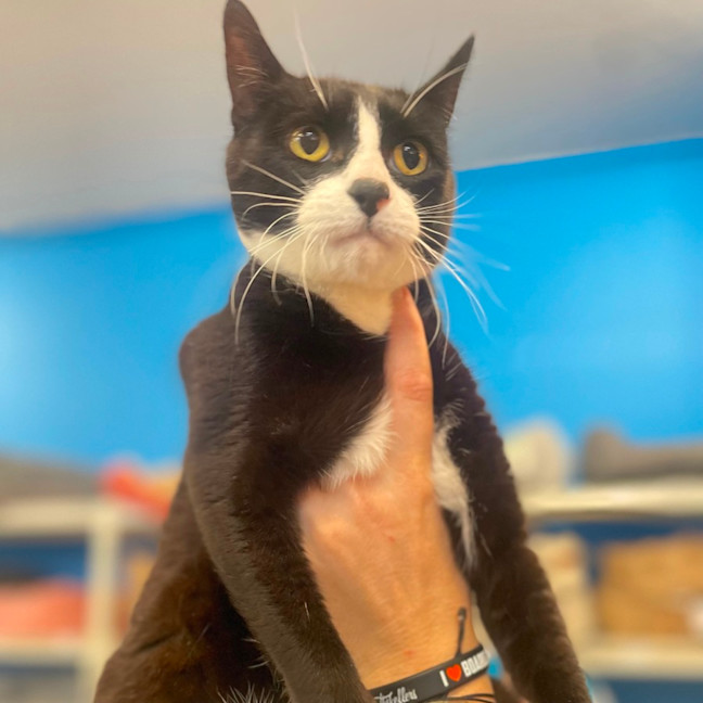Photo of Tom