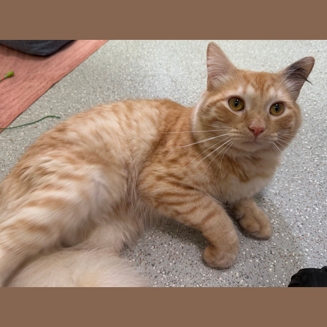 Photo of Alvin