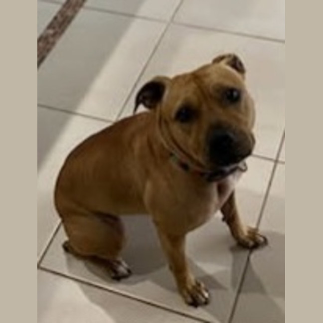 Photo of Lola
